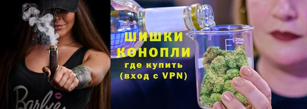 сатива Абдулино