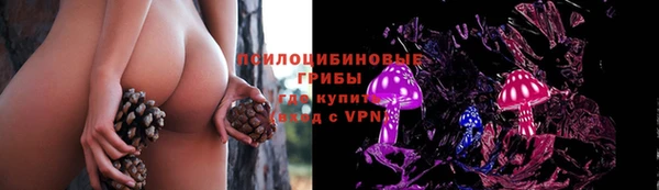 сатива Абдулино