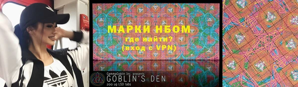 хмурый Алексин